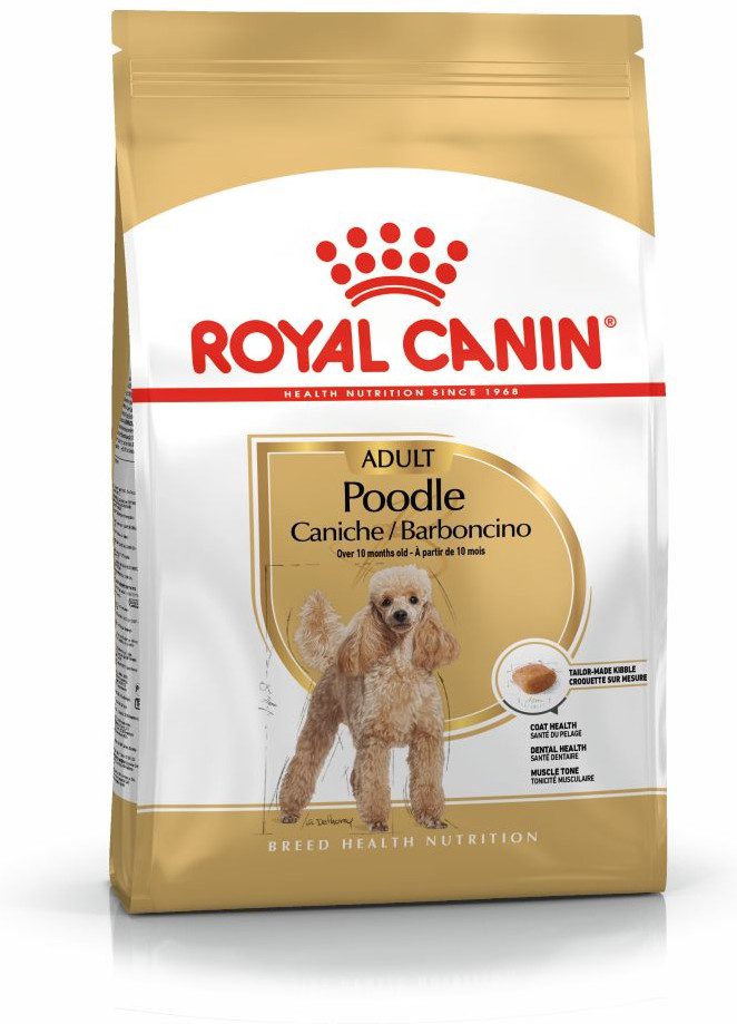 Poodle Adult