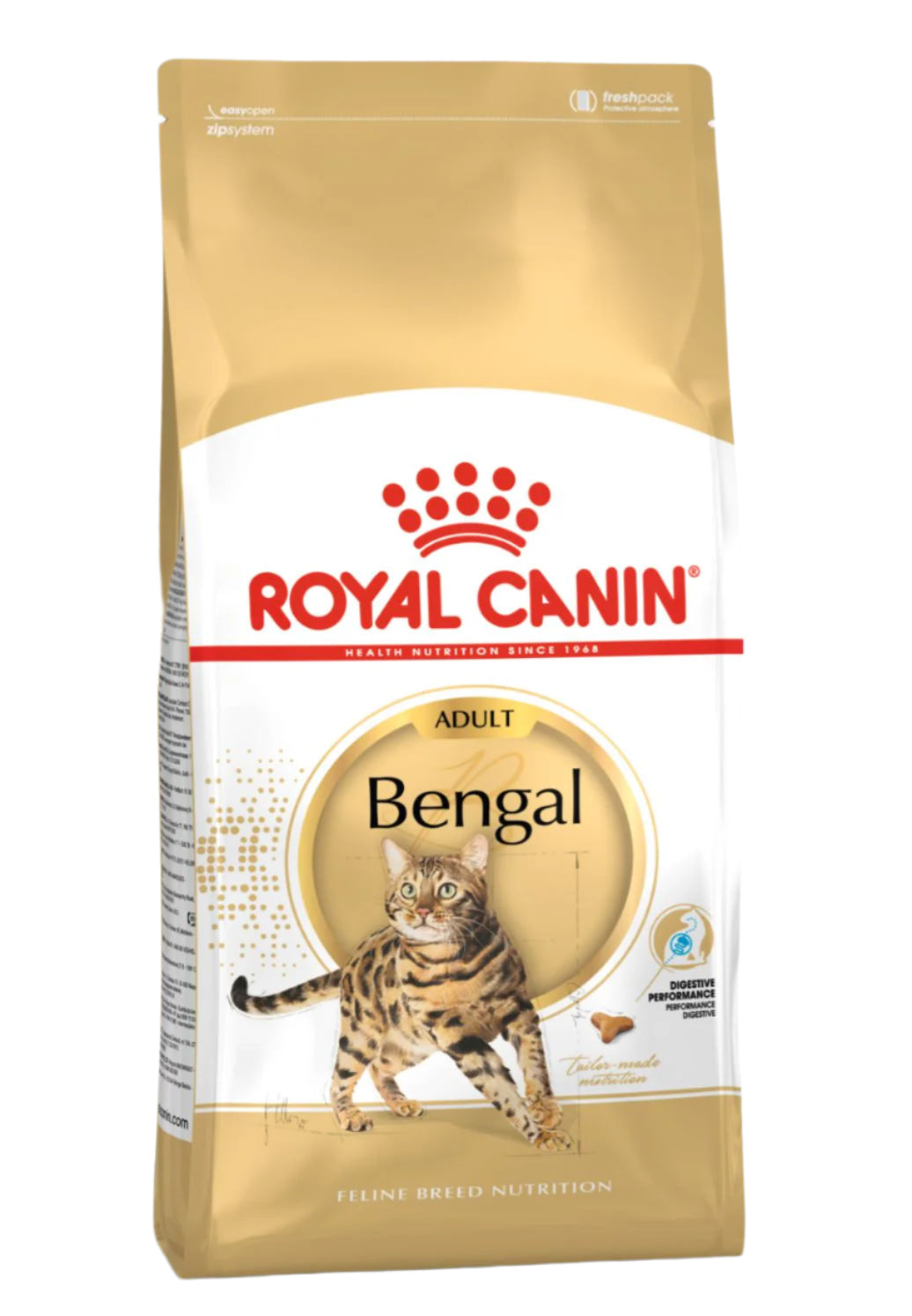 BENGAL ADULT