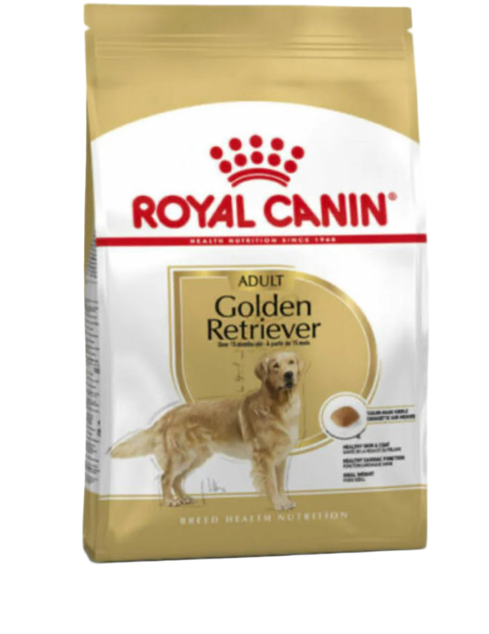 GOLDEN-RETRIVER ADULT(12KG)