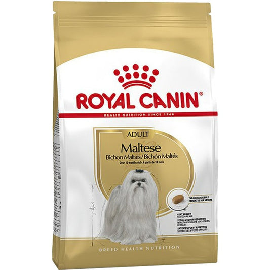Maltese dog food for adult dogs