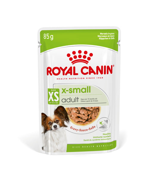 X-Small Adult