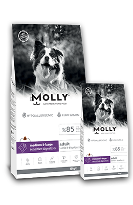 MOLLY DOG ADULT MEDIUM & LARGE SENSITIVE (2kg)Lamb & Blueberry