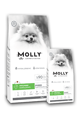 MOLLY DOG PUPPY MINI PUPPY HEALTHY GROWTH Lamb & Blueberry