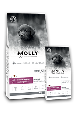 MOLLY DOG PUPPY MEDIUM & LARGE HEALTHY GROWTH Lamb & Blueberry