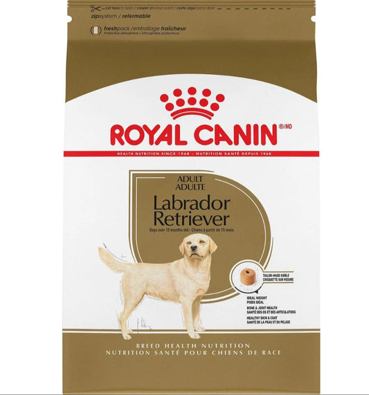 Golden-RETRIVER ADULT (12KG)