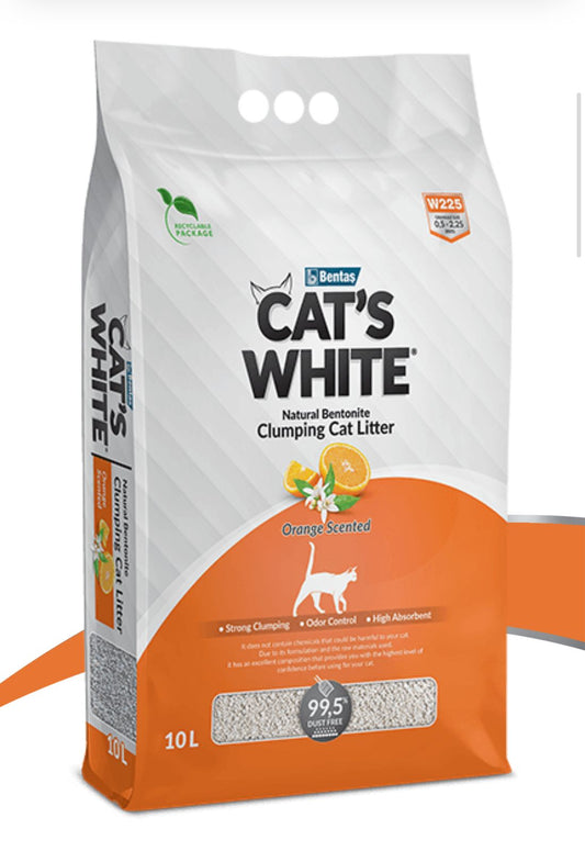 CATSWHITE-LITTER-ORANGE