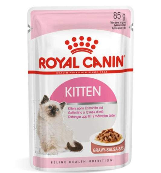 KITTEN-GRAVY