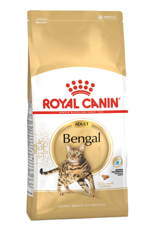 BENGAL ADULT