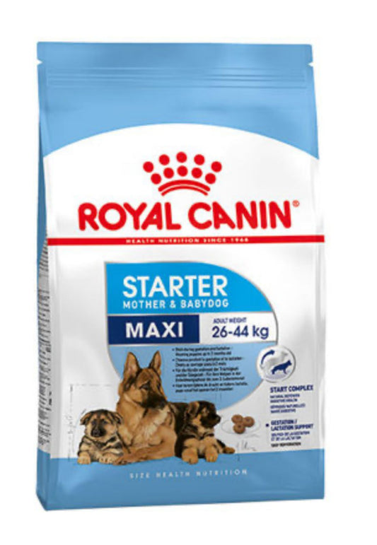 MAXI-STARTER 4KG