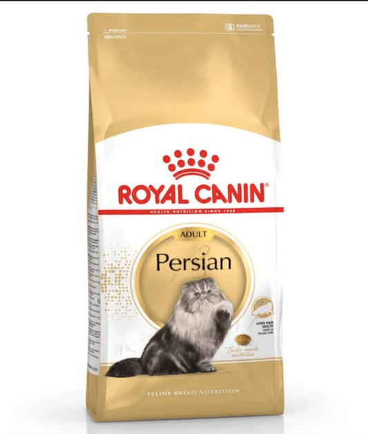 PERSIAN ADULT