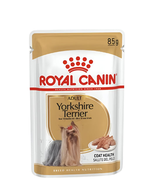 YORKI-ADULT