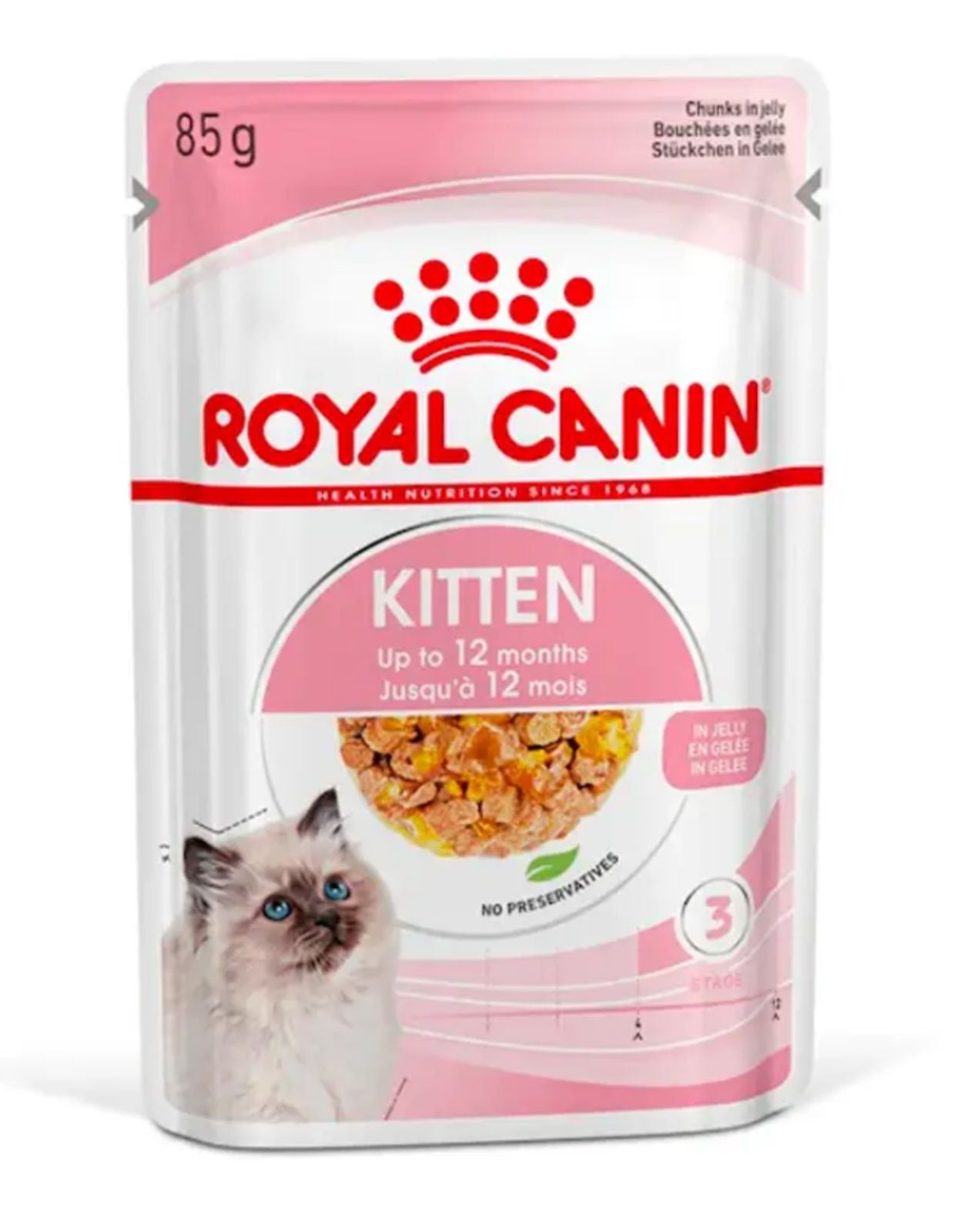 KITTEN-JELLY