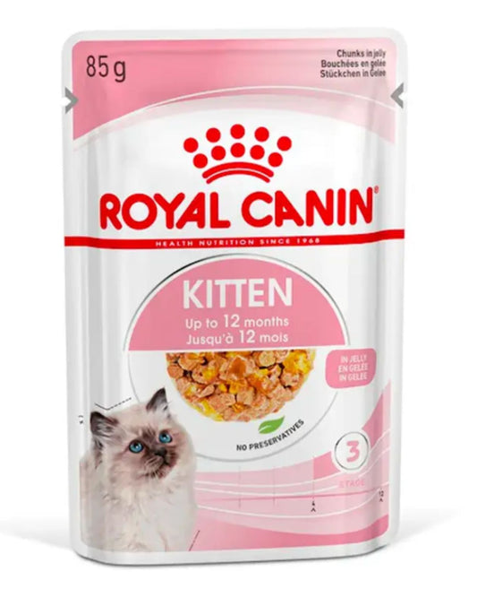 KITTEN-JELLY