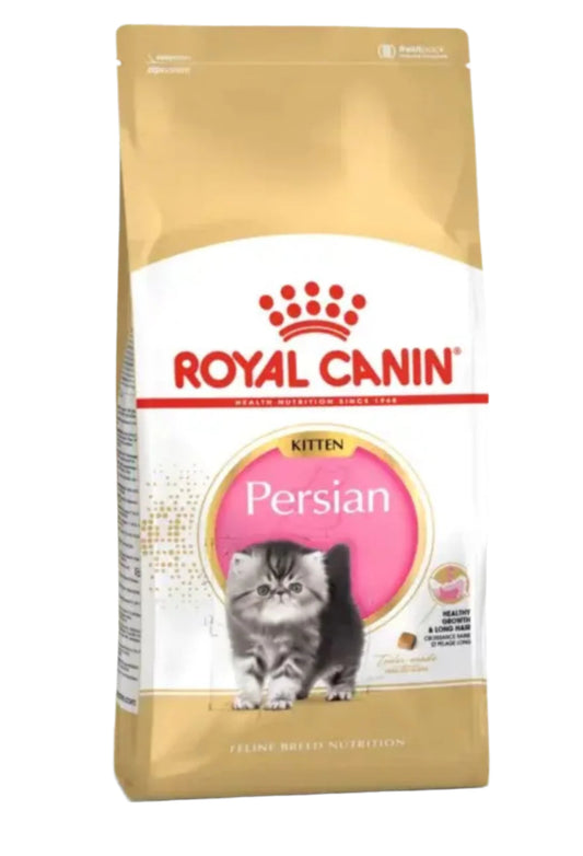 KITTEN PERSIAN