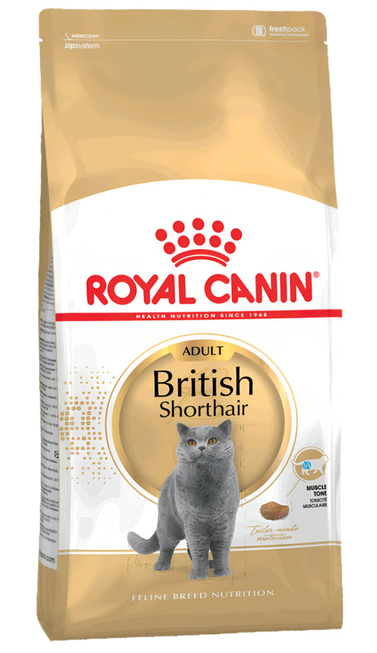 BRITISH ADULT
