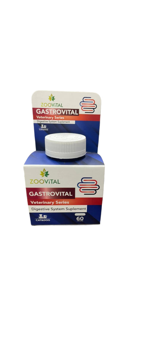 digestive system suplement for cat and dog