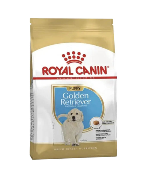 GOLDEN-RETRIVER PUPPY(12KG)
