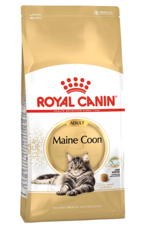 MAINE-COON ADULT