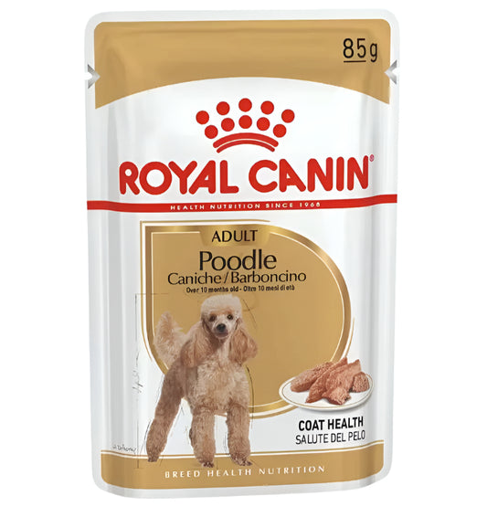 POODLE-ADULT