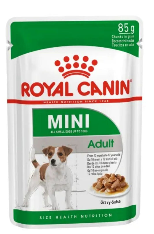MINI-ADULT