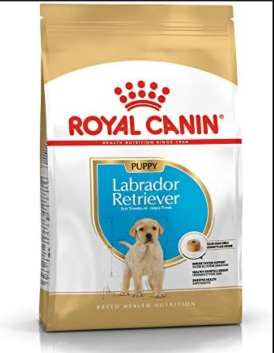 LABRADOR-RETIVER (12KG)