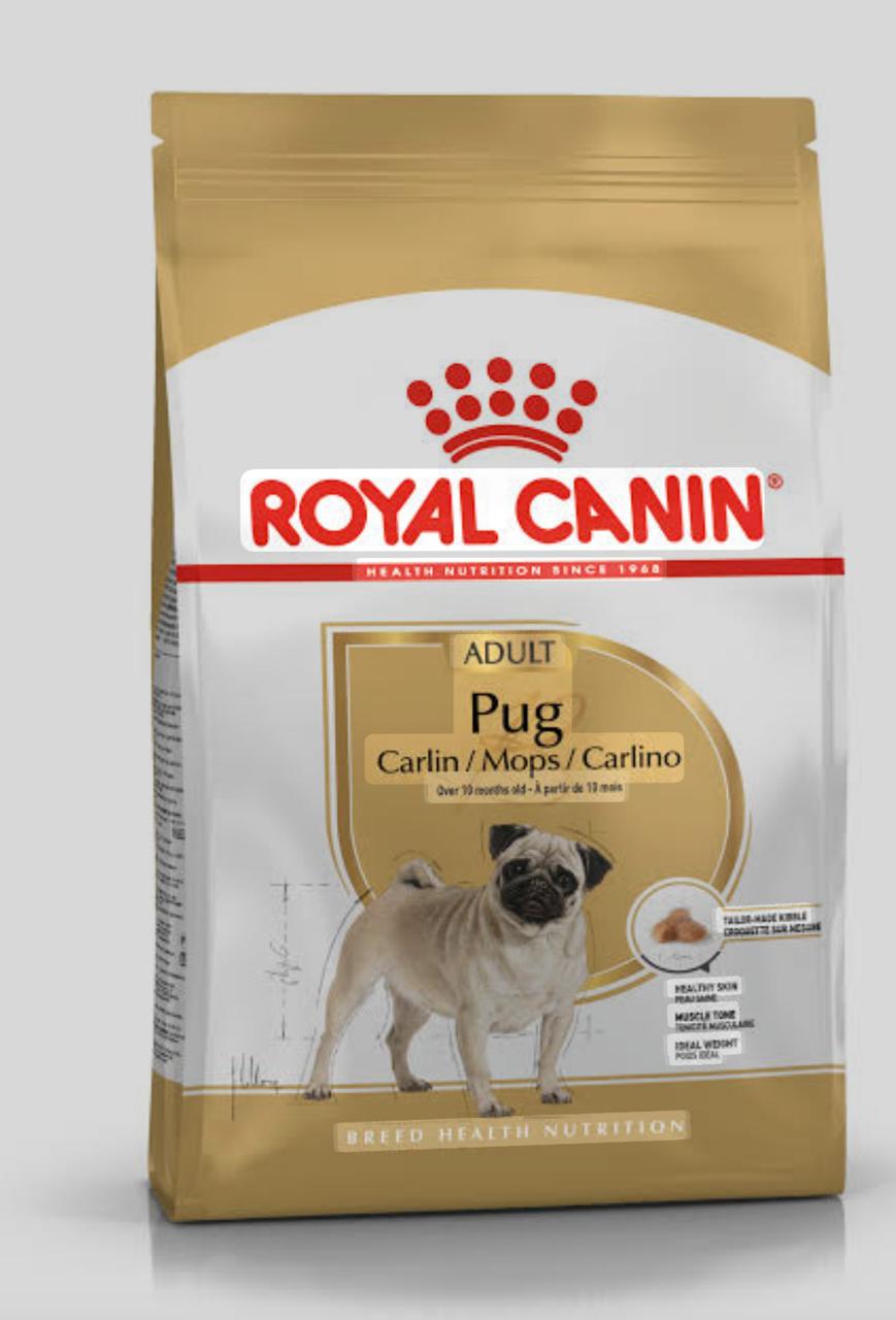 PUG 1.5KG